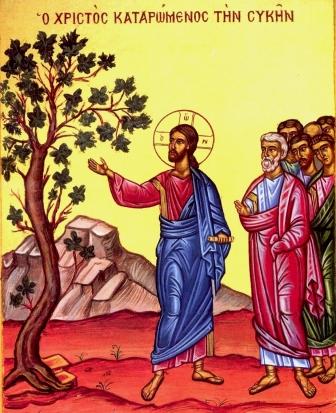 Великий Понедельник (засохшая смоковница)